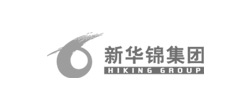 集團(tuán)網(wǎng)站建設(shè)