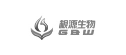 集團(tuán)網(wǎng)站建設(shè)