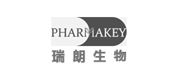 青島網(wǎng)站建設(shè)