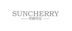 青島網(wǎng)站建設(shè)