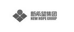 集團(tuán)網(wǎng)站建設(shè)