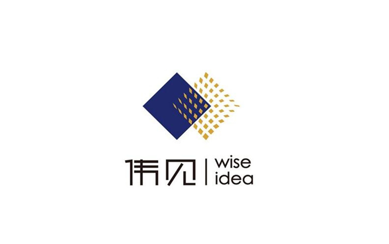 偉見LOGO設(shè)計(jì)