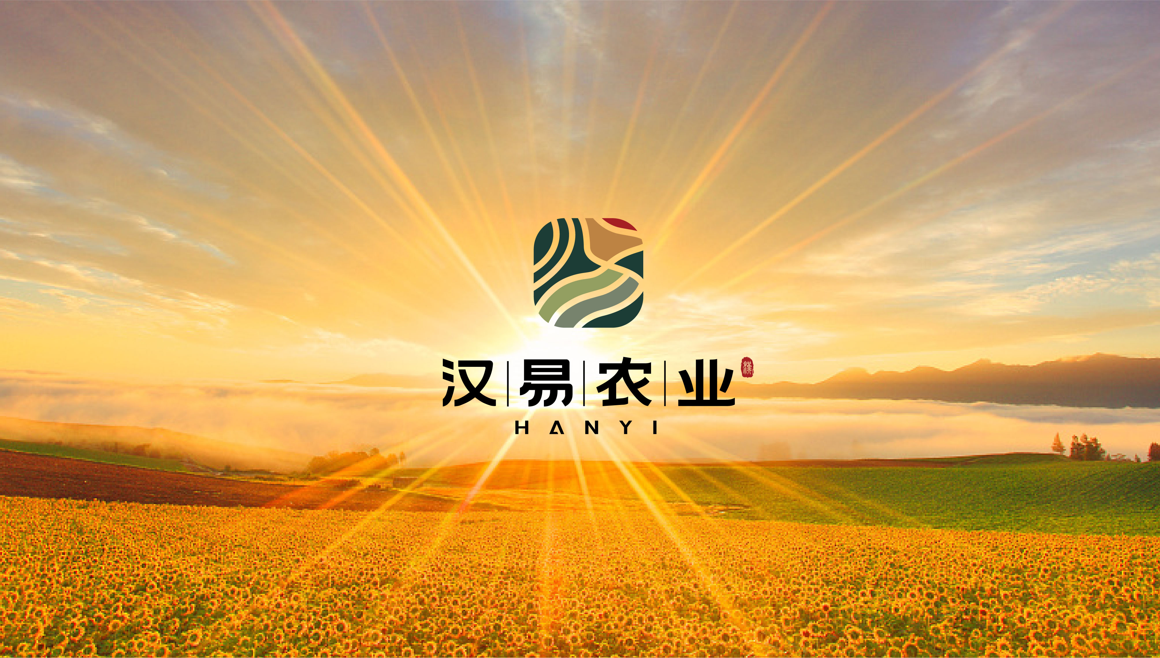 漢易農(nóng)業(yè)LOGO原創(chuàng)設(shè)計(jì)提案二&圭谷品牌-09
