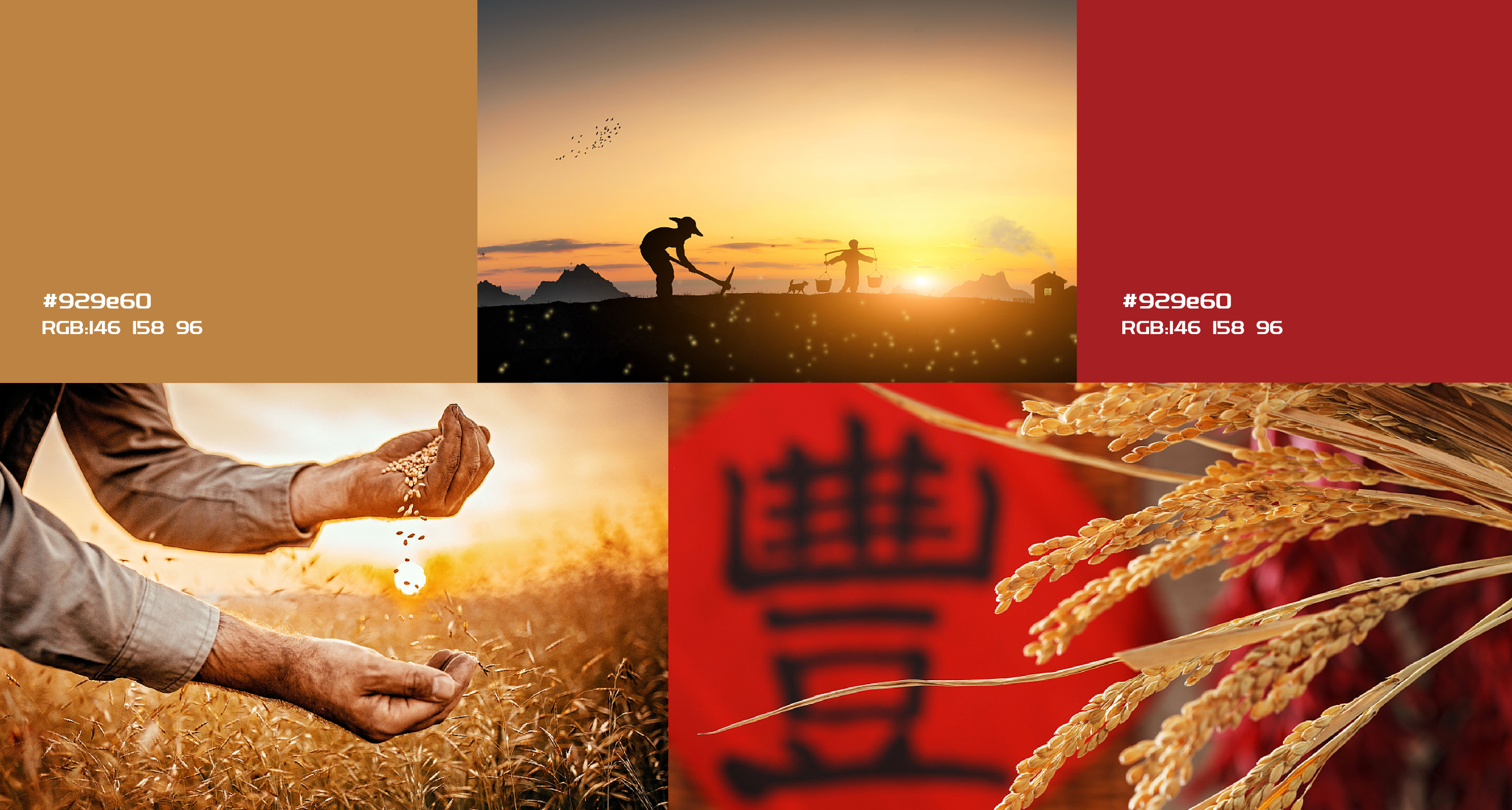漢易農(nóng)業(yè)LOGO原創(chuàng)設(shè)計(jì)提案二&圭谷品牌-12